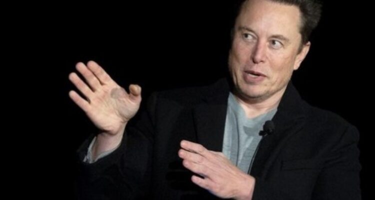 Elon Musk (Foto: DW )
